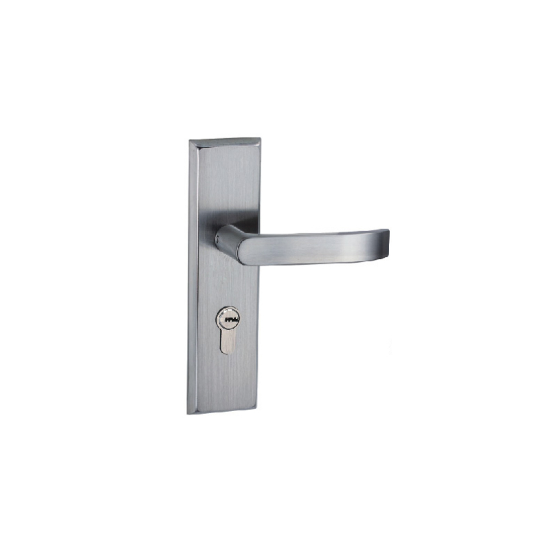 Poignée de porte à levier personnalisée en acier inoxydable EH-2213