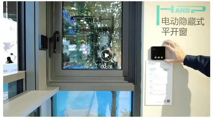 vitre &eacute;lectrique (3)